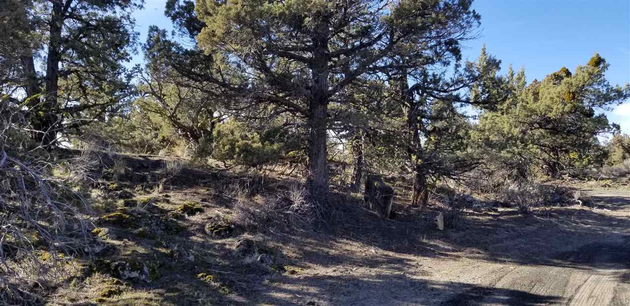 12 Buckhorn Road Montague, CA 96064 - Photo 10 of 15 Gallery Image 10