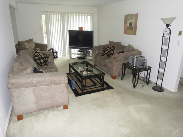 918 Ridge Square, Unit 200 Elk Grove Village, IL 60007 - Photo 2 of 8