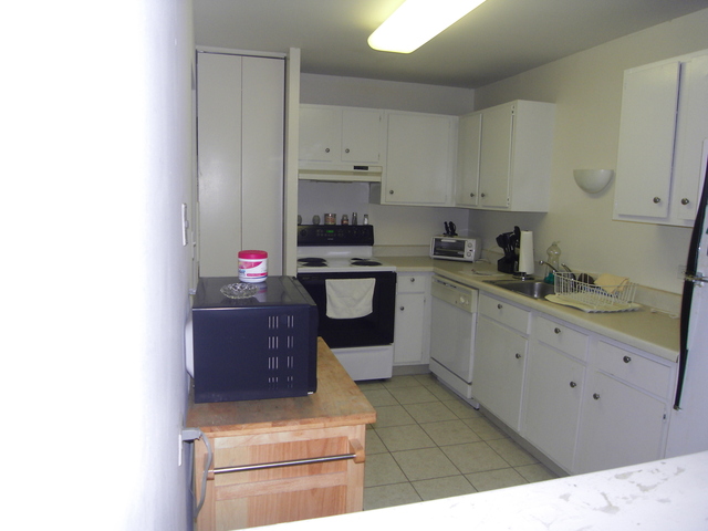918 Ridge Square, Unit 200 Elk Grove Village, IL 60007 - Photo 3 of 8