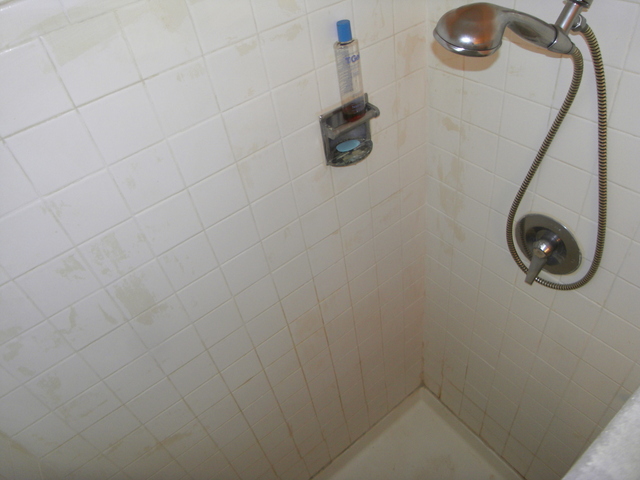 918 Ridge Square, Unit 200 Elk Grove Village, IL 60007 - Photo 7 of 8