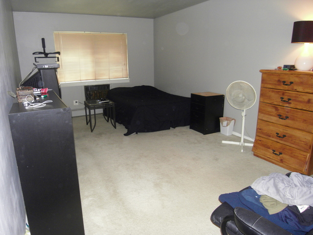918 Ridge Square, Unit 200 Elk Grove Village, IL 60007 - Photo 8 of 8