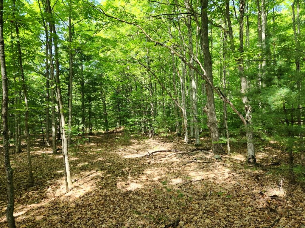 Off Crawford Lake Road Northeast Kalkaska, MI 49646 - Photo 22 of 25