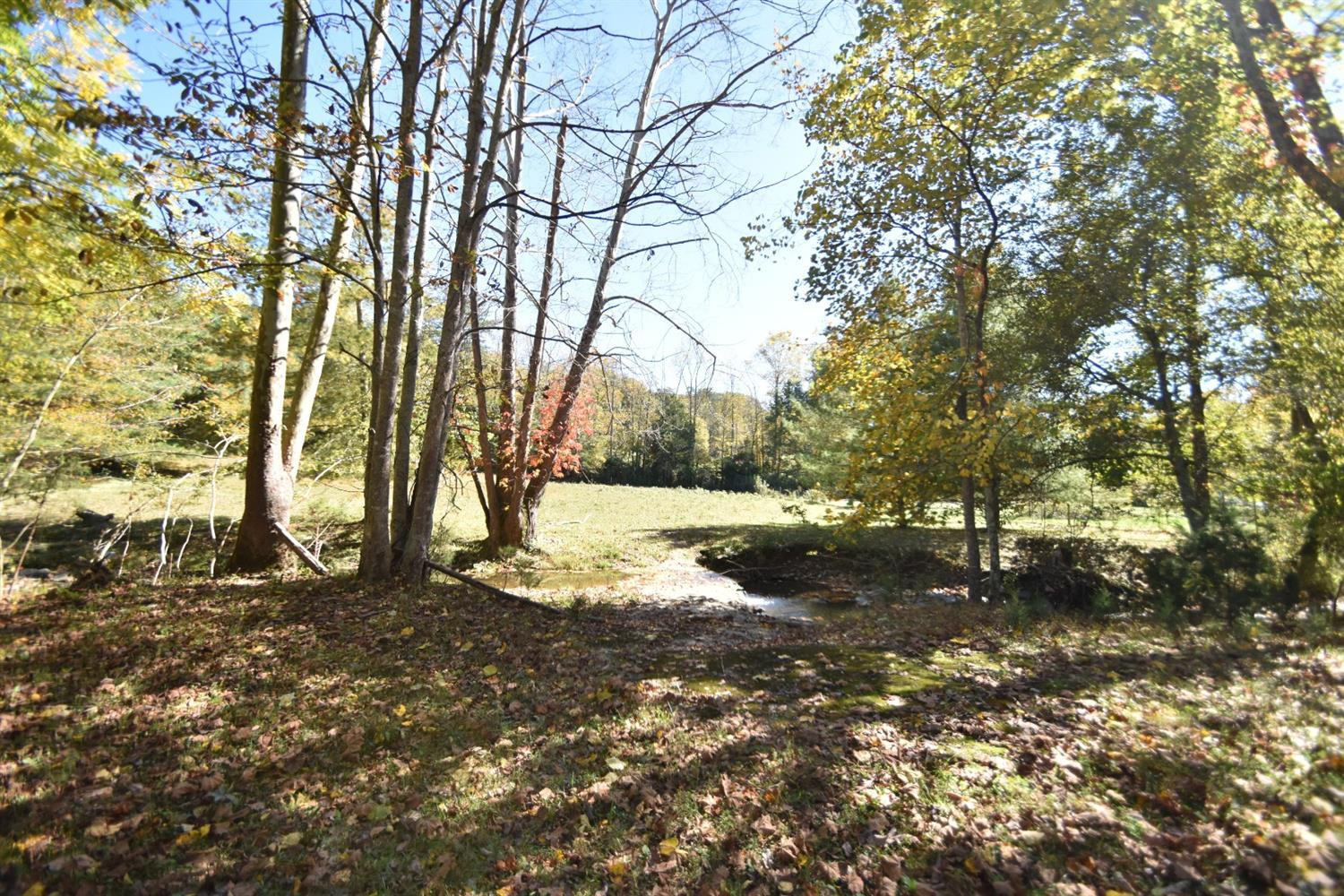 1765 Red Lick Road Berea, KY 40403 - Photo 11 of 13 Photo 11