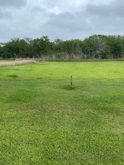 0 County Road 257 Road Matagorda, TX 77457 - Photo 2 of 3 a view of a field with an trees in the background