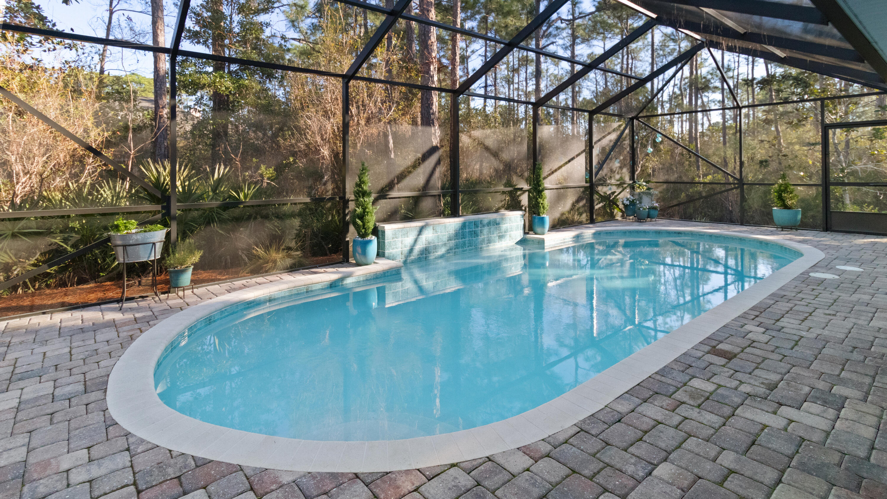 46 Bayou Manor Road Santa Rosa Beach, FL 32459 - Photo 41 of 46 Beautiful Pool