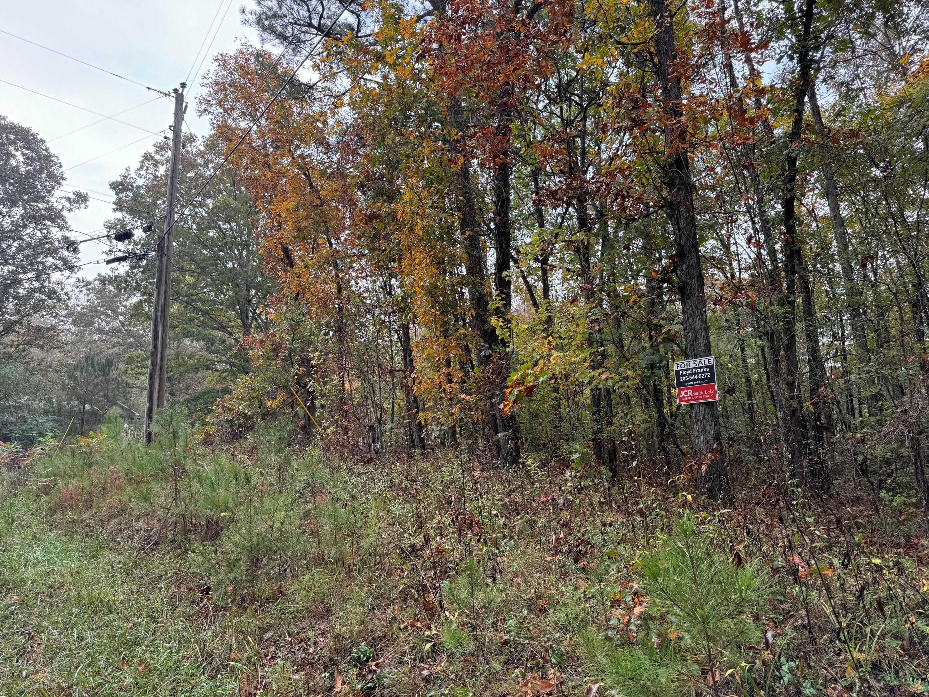 Lot 13 Little Dismal Road Arley, AL 35541 - Photo 4 of 7 IMG_0925
