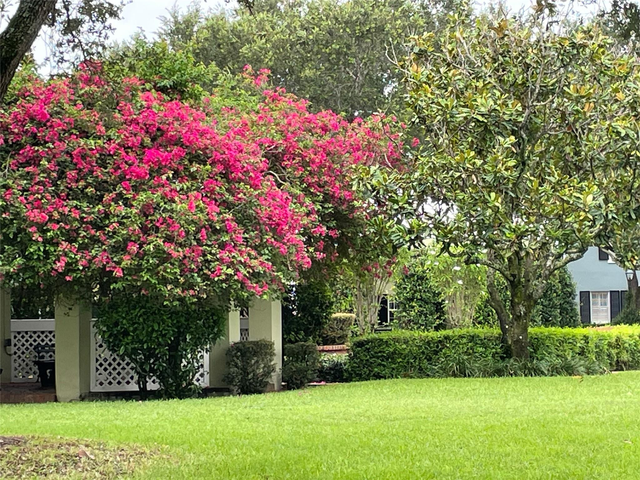 5889 Bartram Street Boca Raton, FL 33433 - Photo 56 of 66 Photo 56