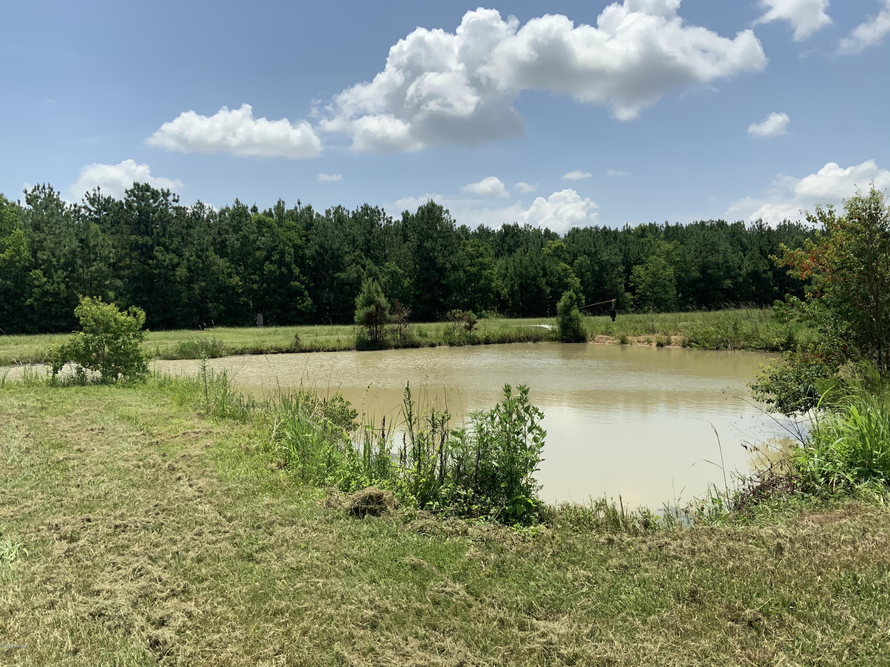 10.56 Acres Basile, LA 70515 - Photo 5 of 6 8363E4E6-A4AB-41BF-AF3E-02646D0C243C