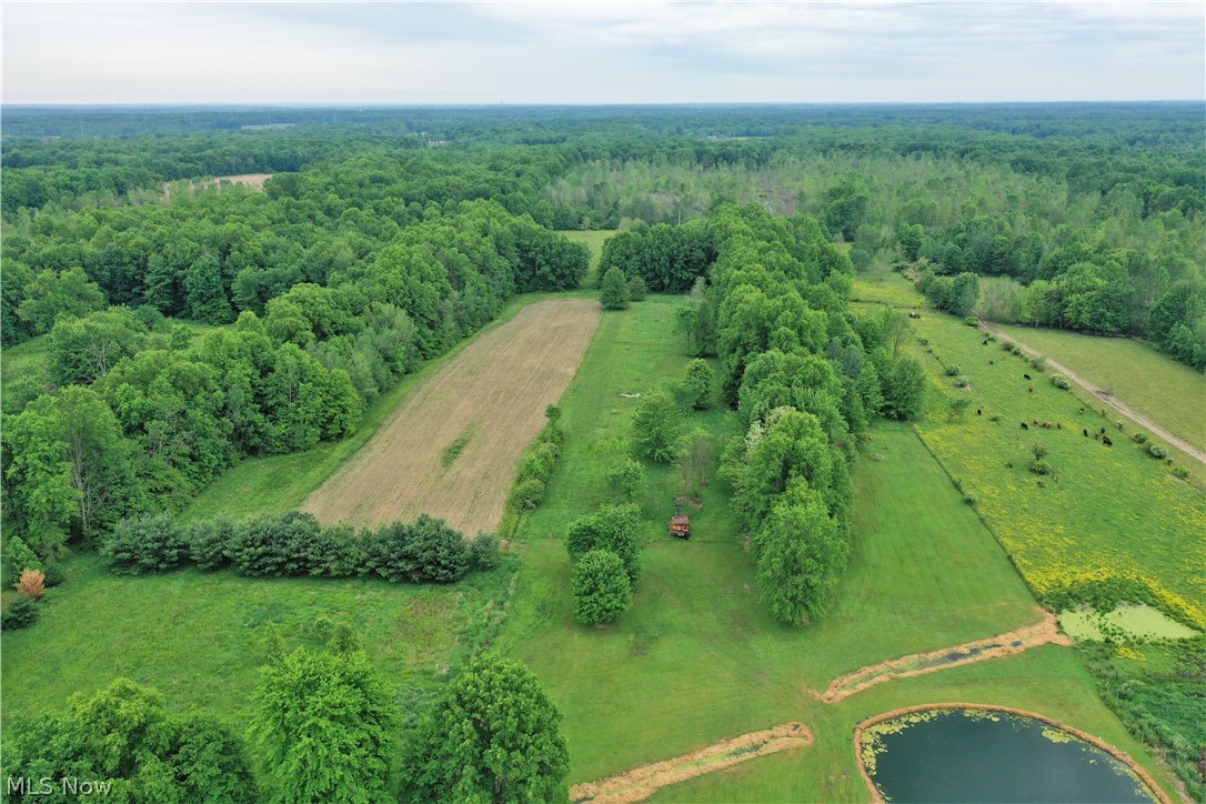 10530 Gilbert Road Newton Falls, OH 44444 - Photo 29 of 35 Gallery Image 29
