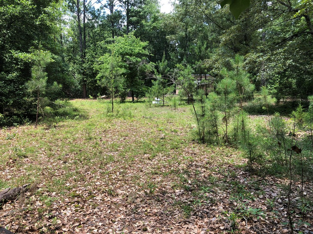 204 County Line Road Thomson, GA 30824 - Photo 45 of 48