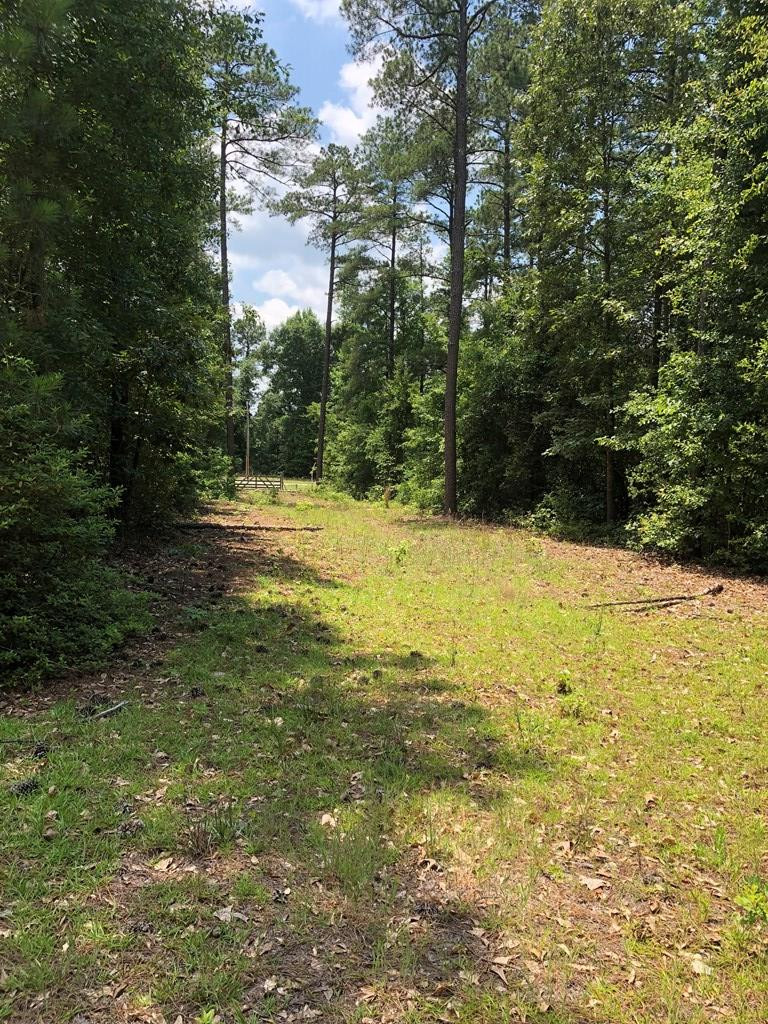 204 County Line Road Thomson, GA 30824 - Photo 46 of 48