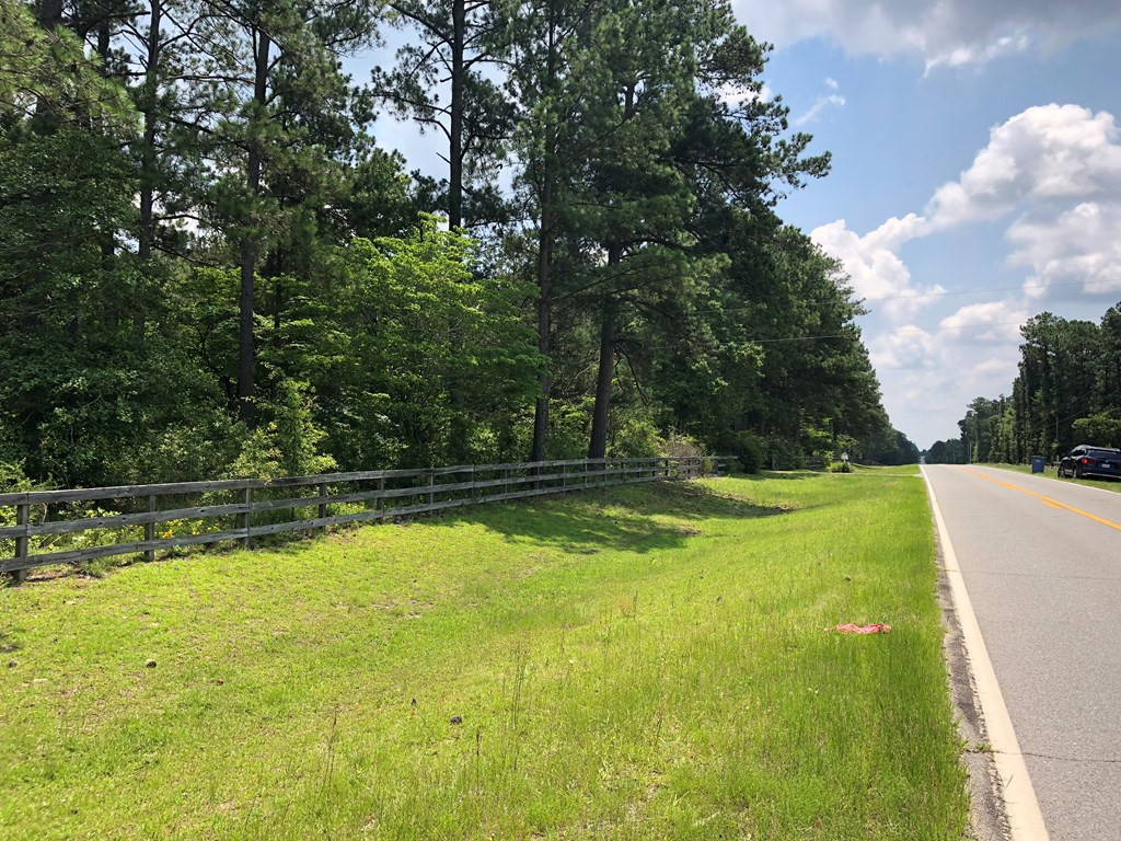 204 County Line Road Thomson, GA 30824 - Photo 6 of 48