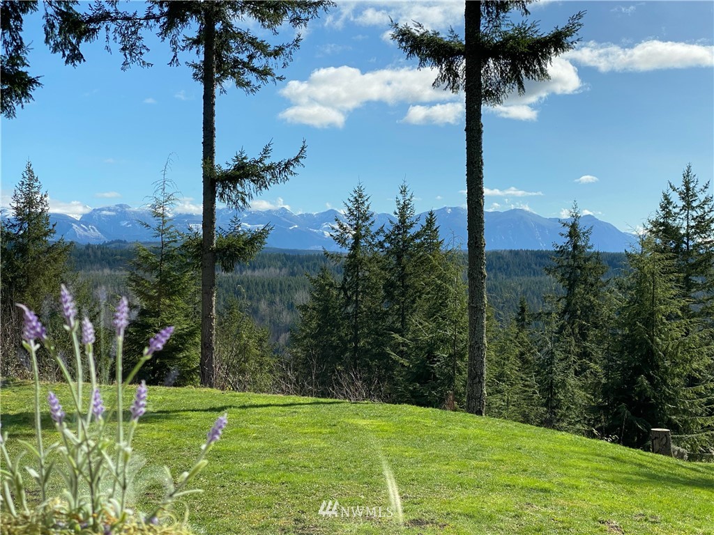 6708 Tolt Highlands Road Northeast Carnation, WA 98014 - Photo 33 of 39 Gallery Image 33