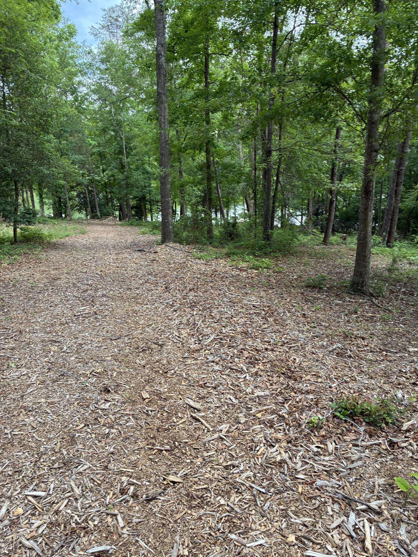715 East Ridge Water Drive Chesnee, SC 29323 - Photo 11 of 39