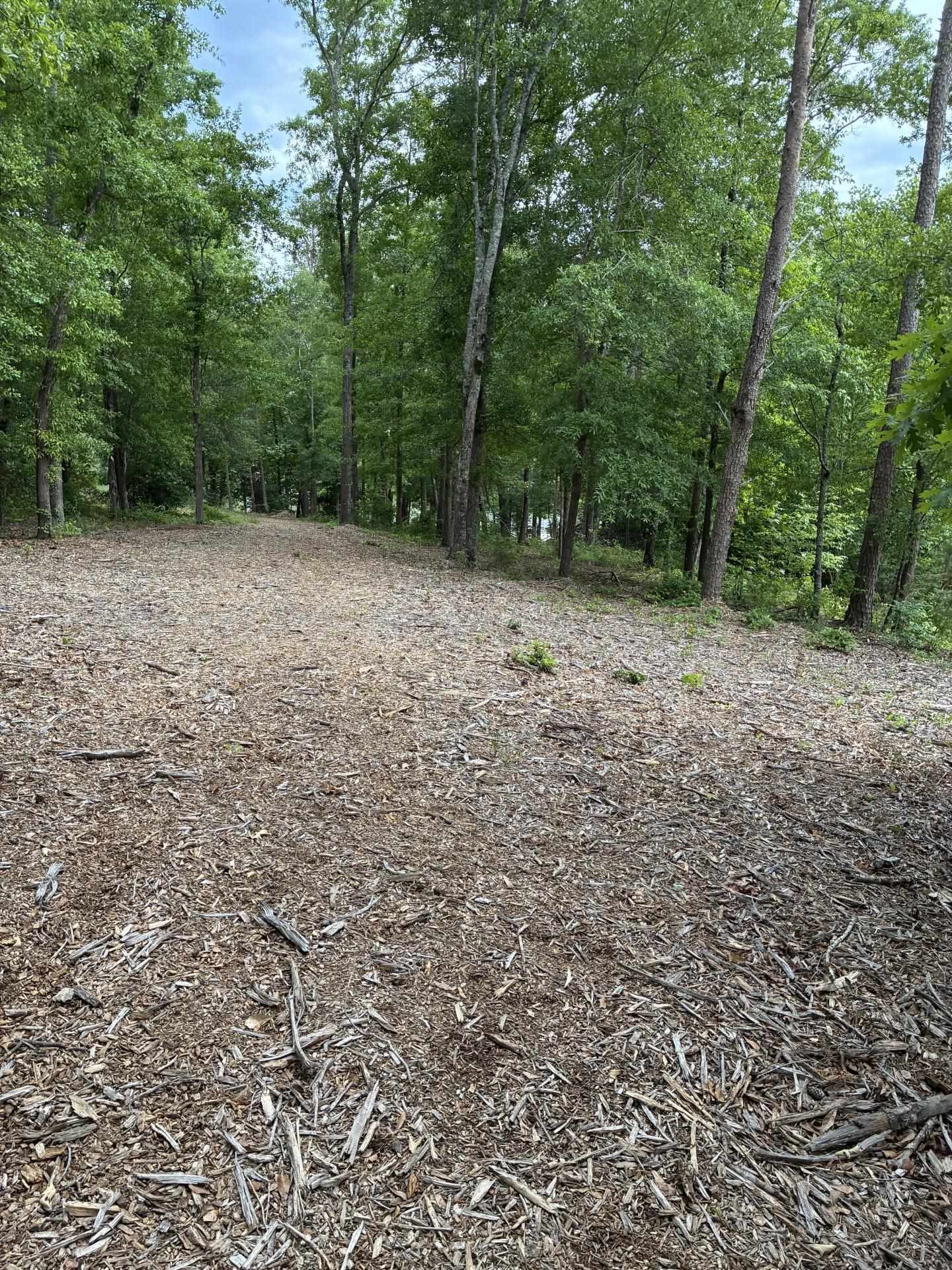 715 East Ridge Water Drive Chesnee, SC 29323 - Photo 12 of 39