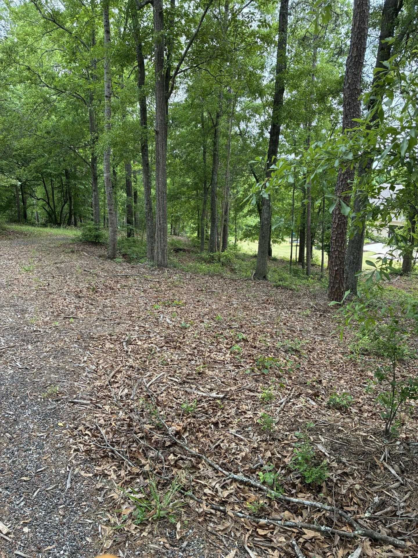 715 East Ridge Water Drive Chesnee, SC 29323 - Photo 14 of 39