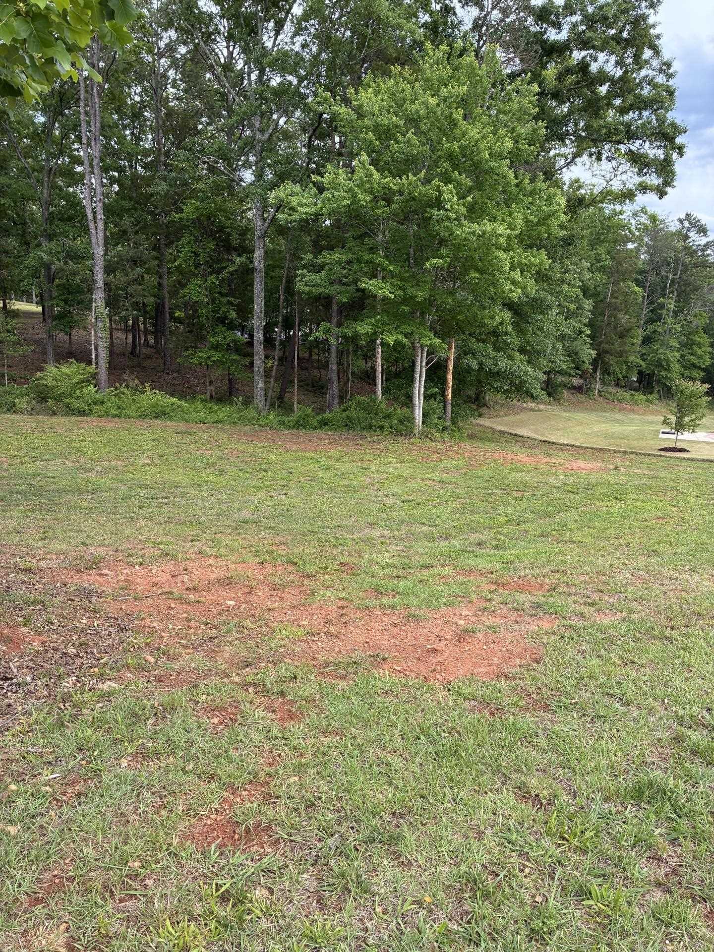 715 East Ridge Water Drive Chesnee, SC 29323 - Photo 6 of 39