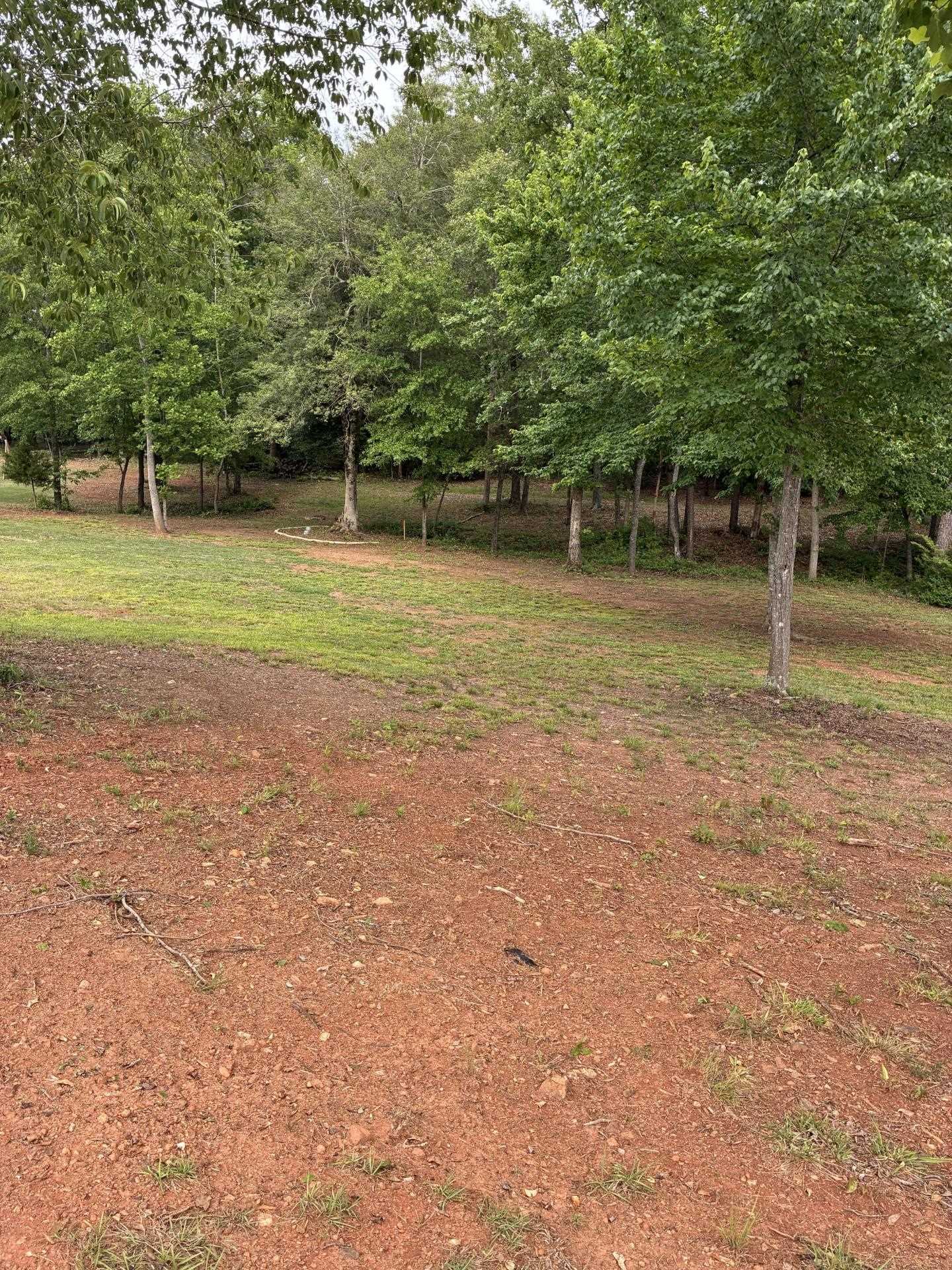 715 East Ridge Water Drive Chesnee, SC 29323 - Photo 8 of 39