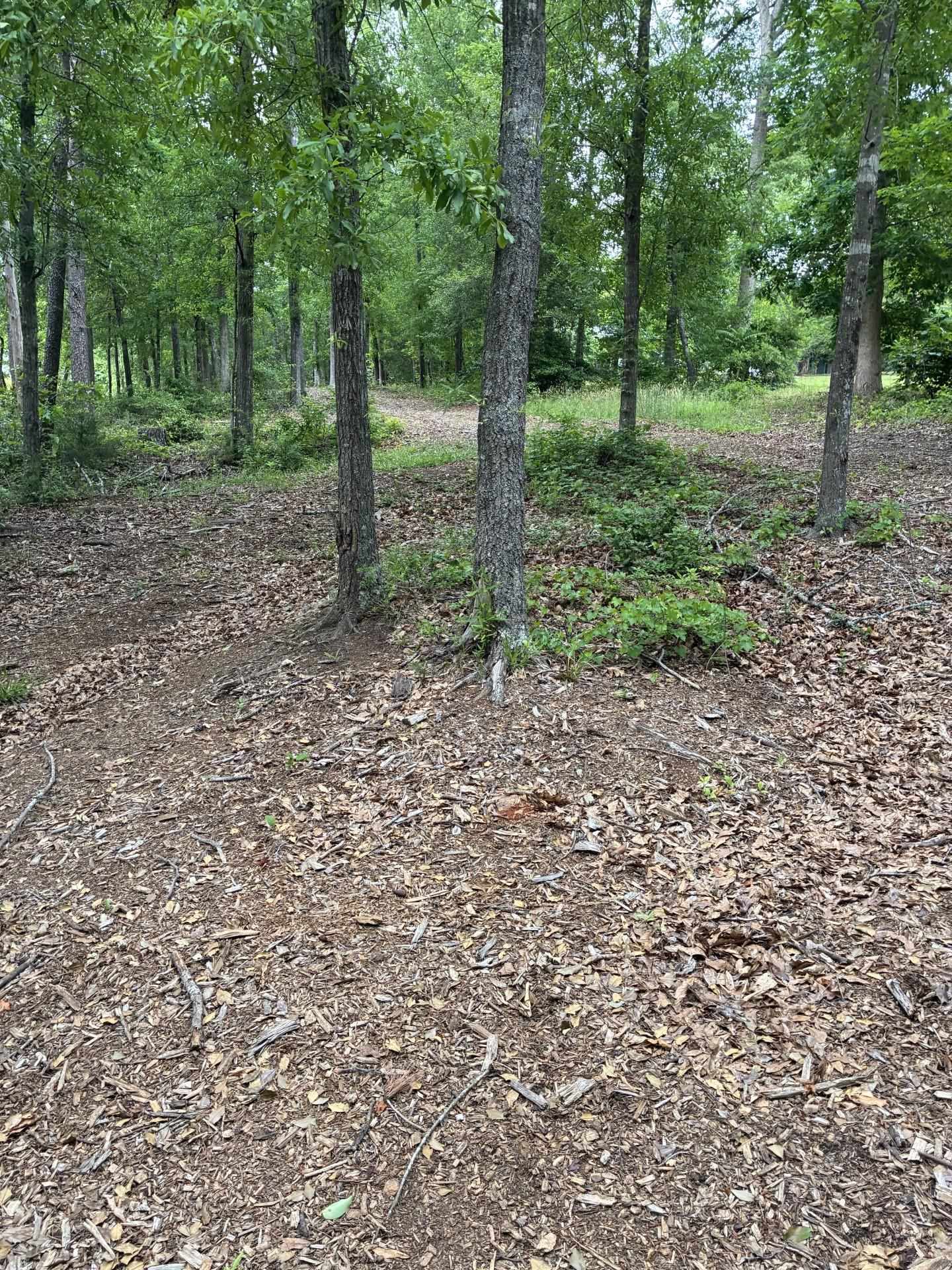 715 East Ridge Water Drive Chesnee, SC 29323 - Photo 10 of 39