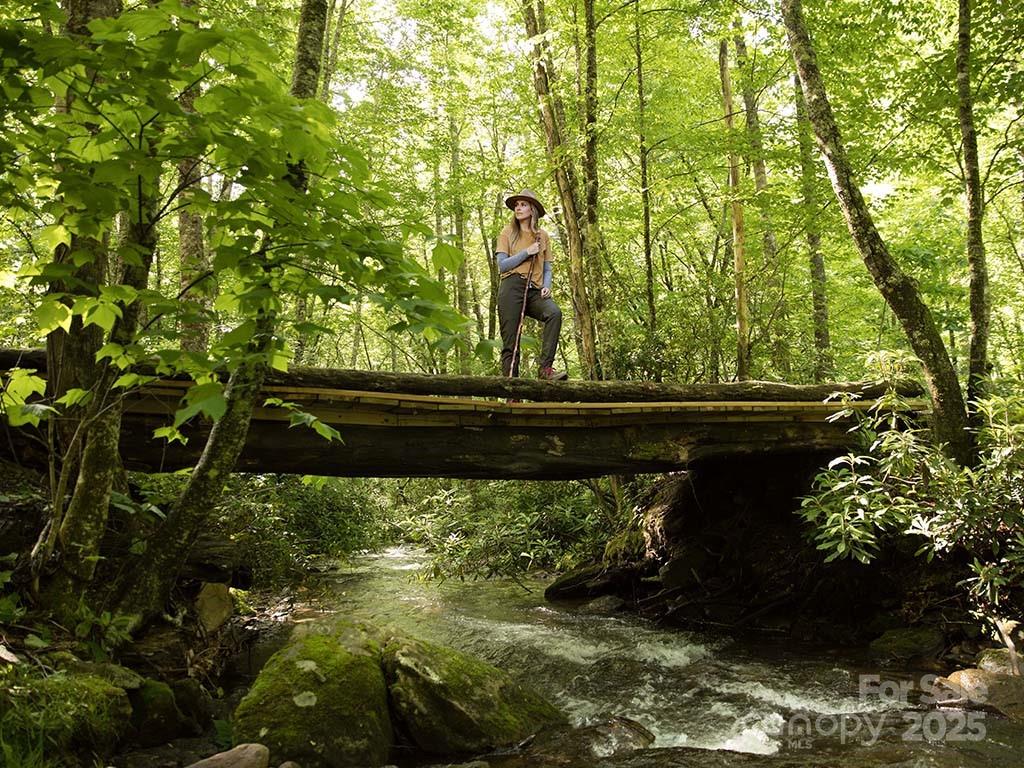 146 East Clubhouse Road, Unit 99 Sylva, NC 28779 - Photo 20 of 20 a view of outdoor space