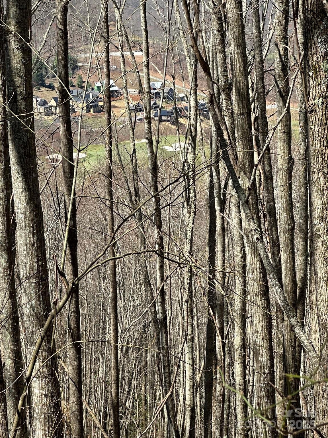 146 East Clubhouse Road, Unit 99 Sylva, NC 28779 - Photo 2 of 20