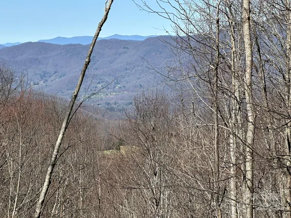 a view of a backyard of the house