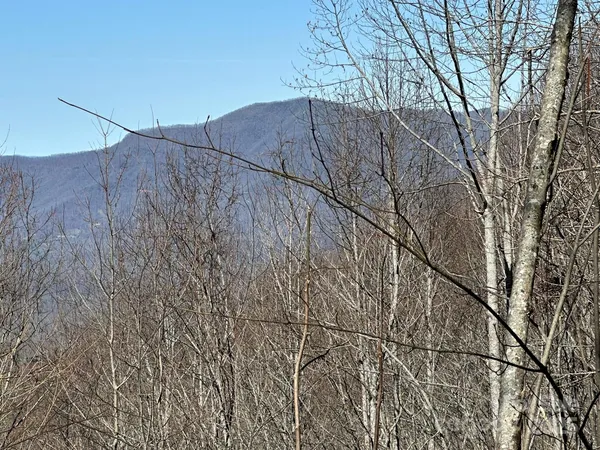 a view of lake with mountain