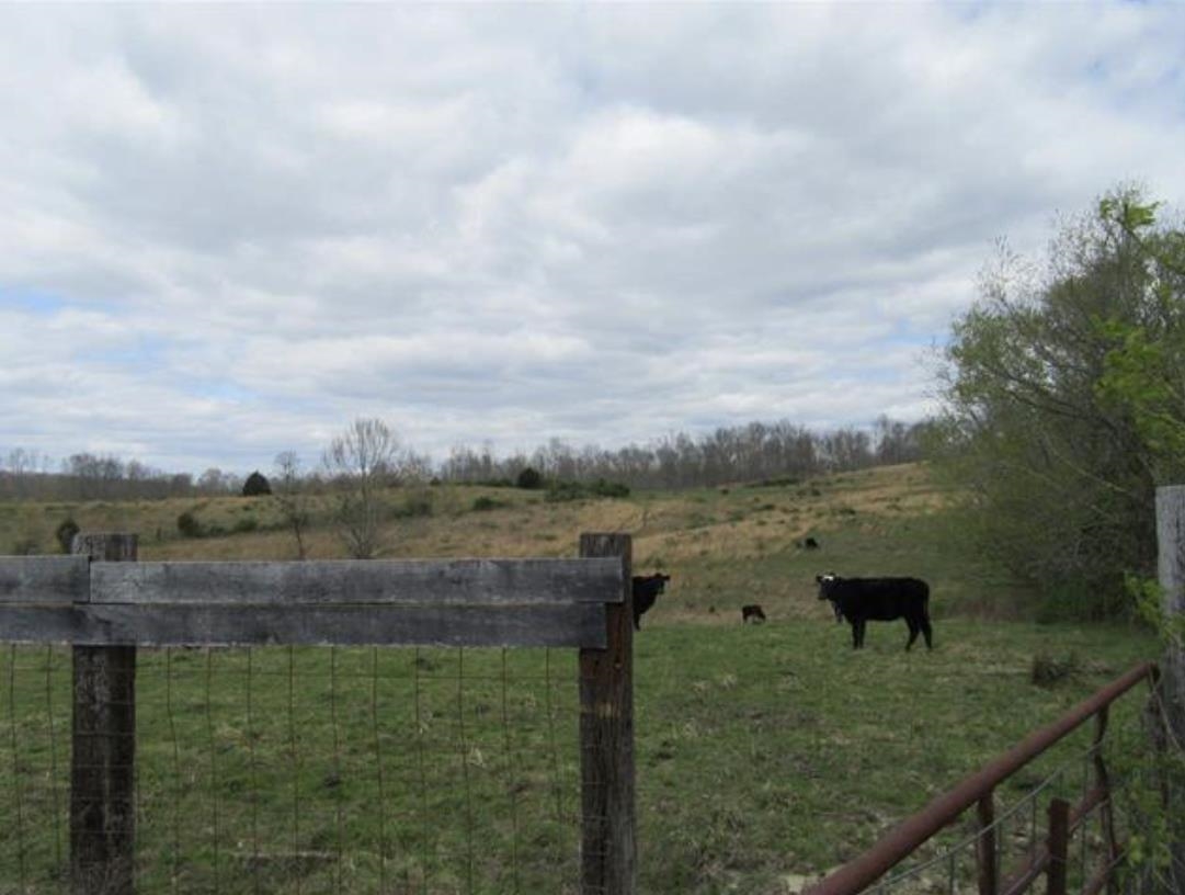 0 Tygarts Creek Road Grayson, KY 41143 - Photo 1 of 1