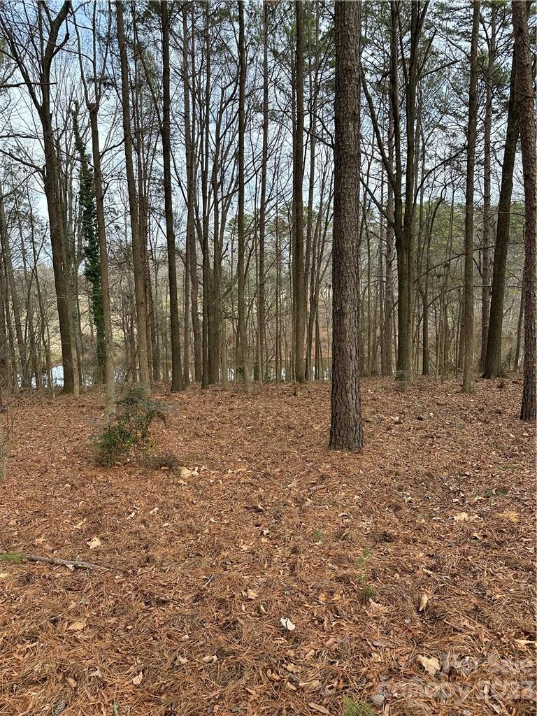 0 Rosa Drive Monroe, NC 28112 - Photo 16 of 20 Gallery Image 16