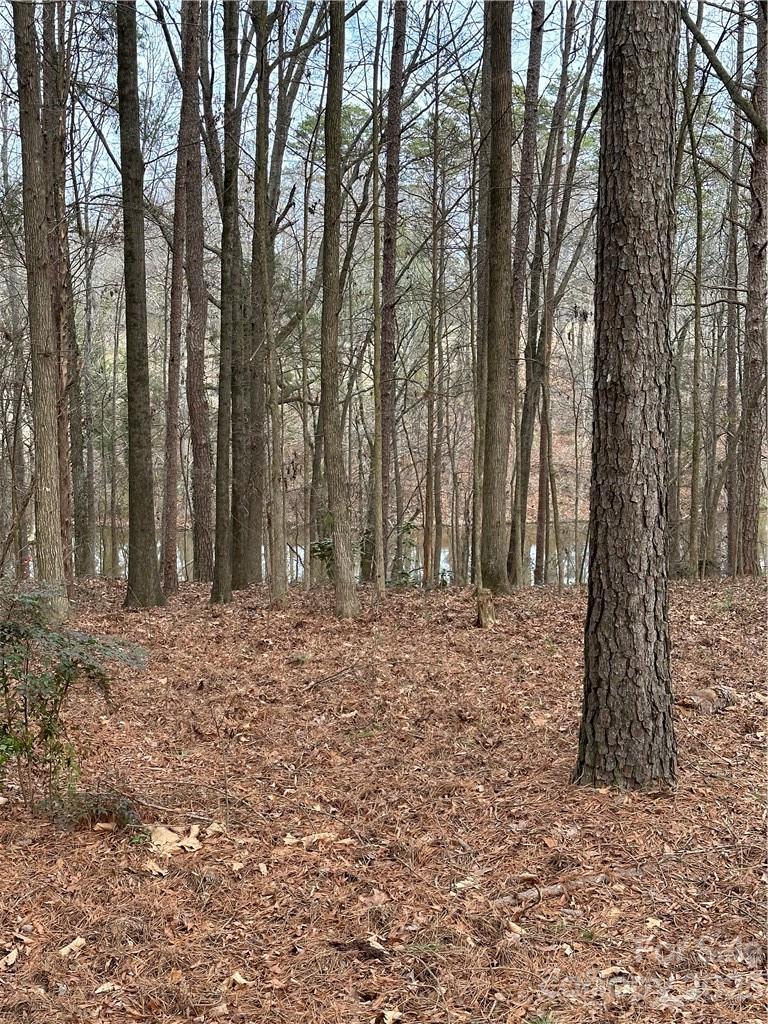 0 Rosa Drive Monroe, NC 28112 - Photo 18 of 20 Gallery Image 18