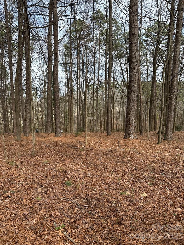 0 Rosa Drive Monroe, NC 28112 - Photo 19 of 20 Gallery Image 19