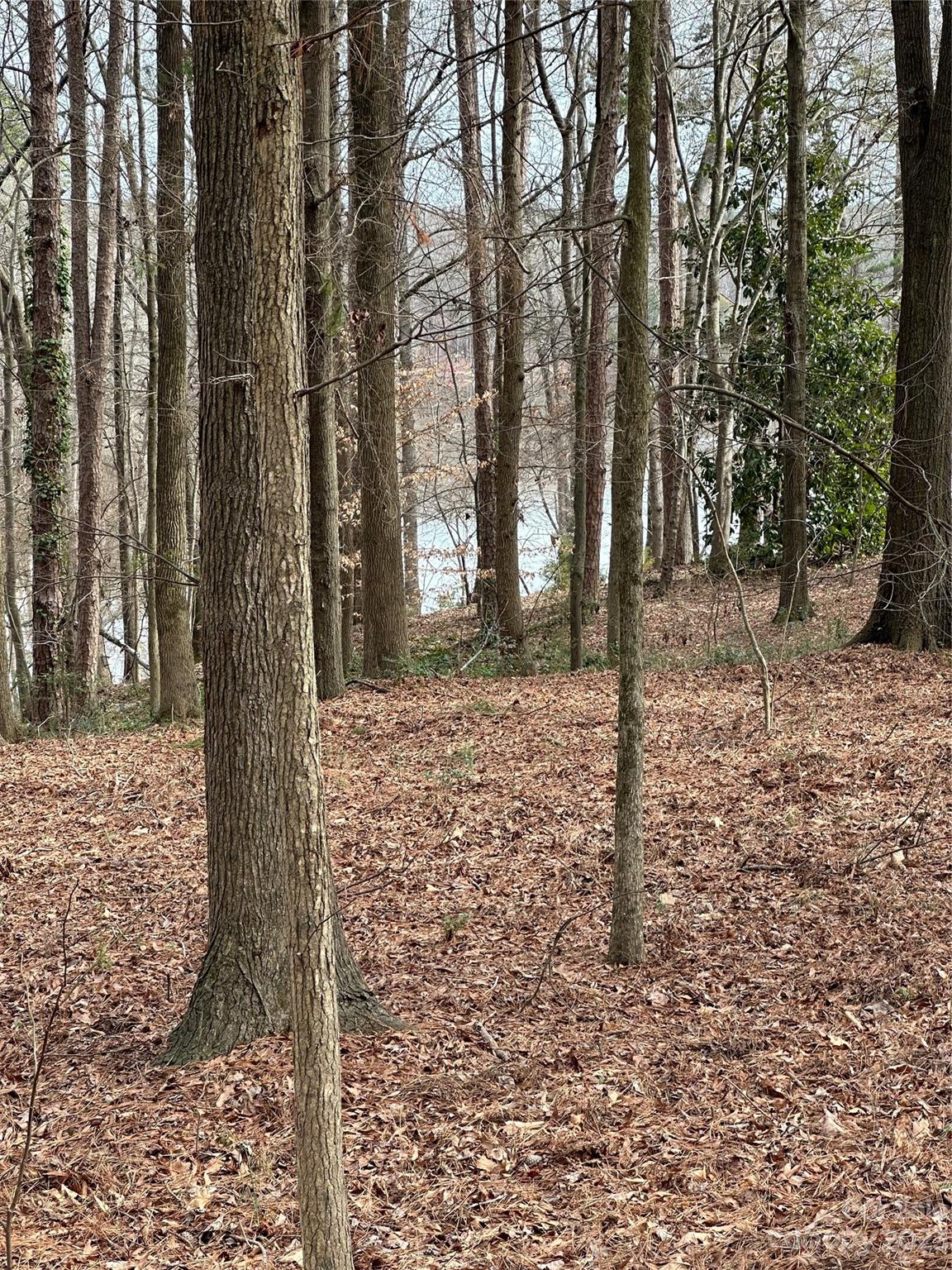 0 Rosa Drive Monroe, NC 28112 - Photo 20 of 20 Gallery Image 20