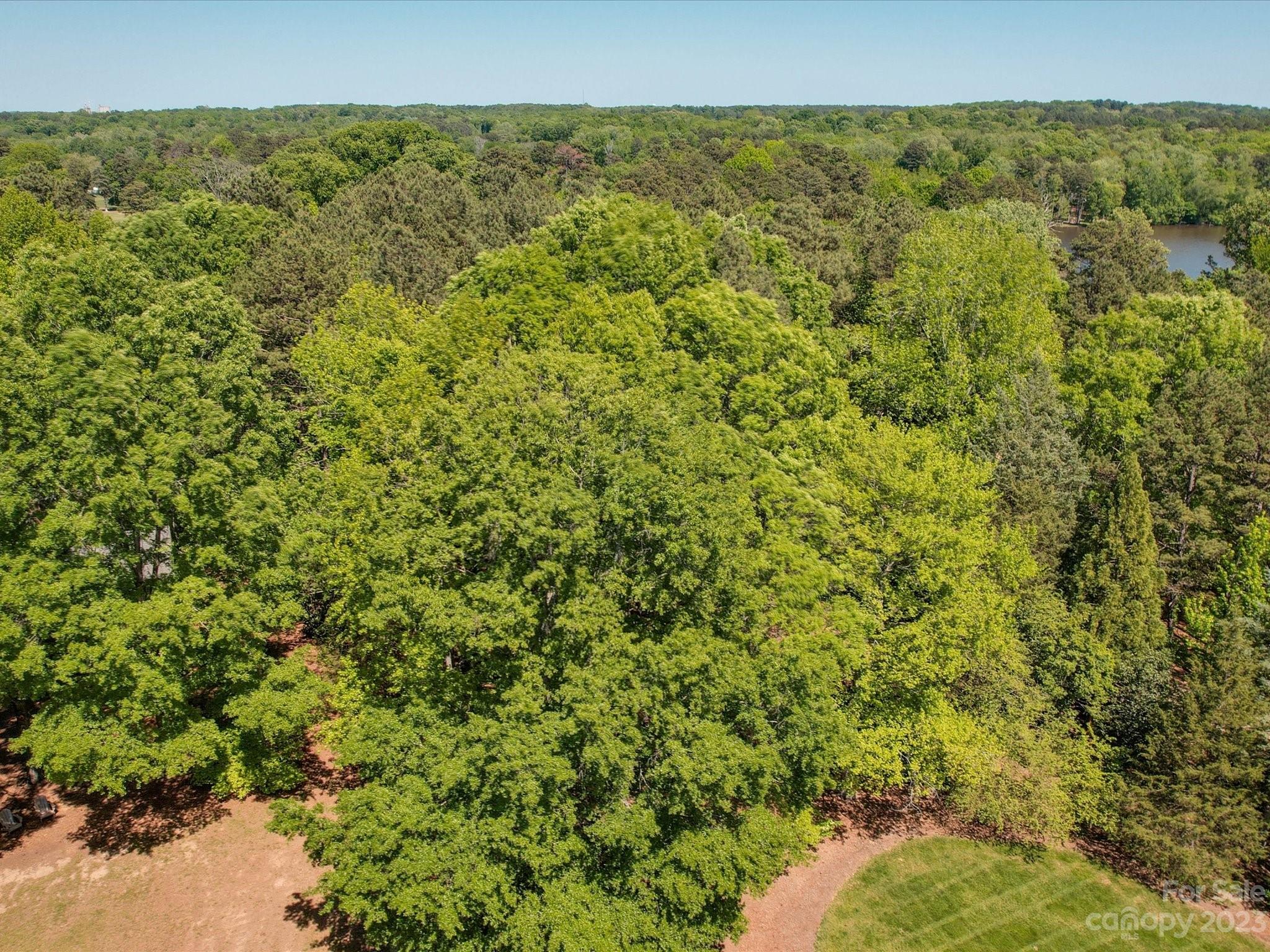 0 Rosa Drive Monroe, NC 28112 - Photo 7 of 20 Gallery Image 7