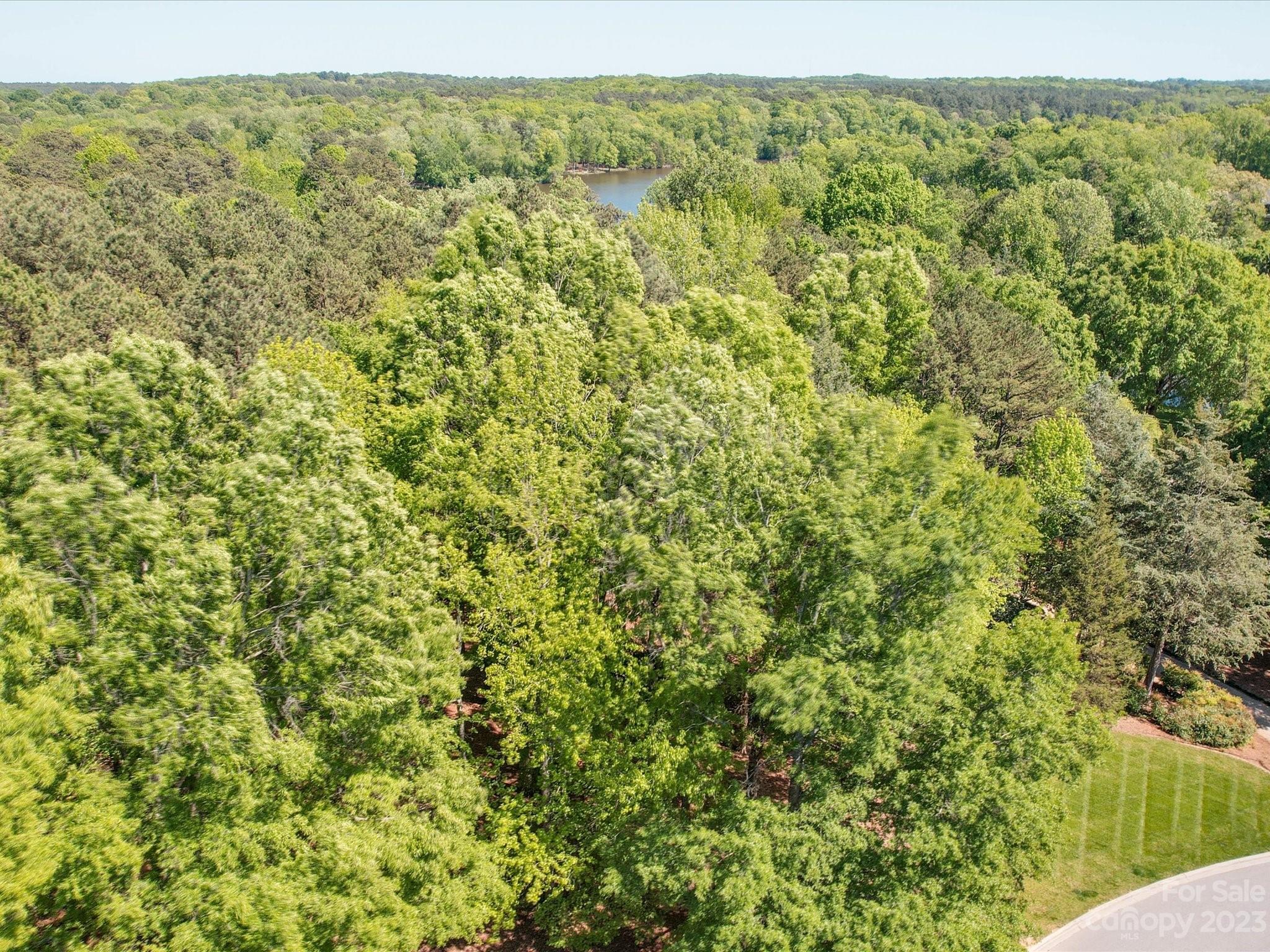 0 Rosa Drive Monroe, NC 28112 - Photo 8 of 20 Gallery Image 8