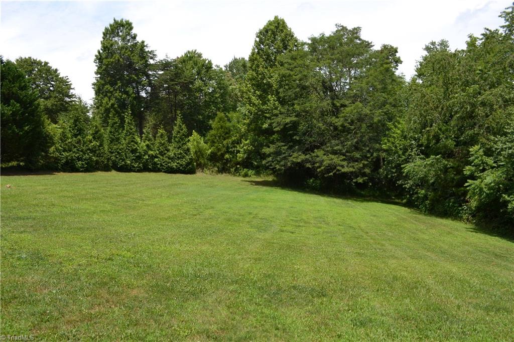 2096 Ralph Joyce Road Sandy Ridge, NC 27046 - Photo 6 of 23