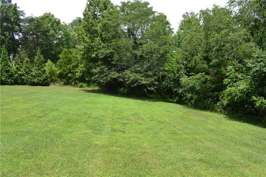 2096 Ralph Joyce Road Sandy Ridge, NC 27046 - Photo 7 of 23