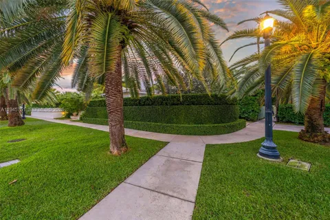 a view of a park with plants