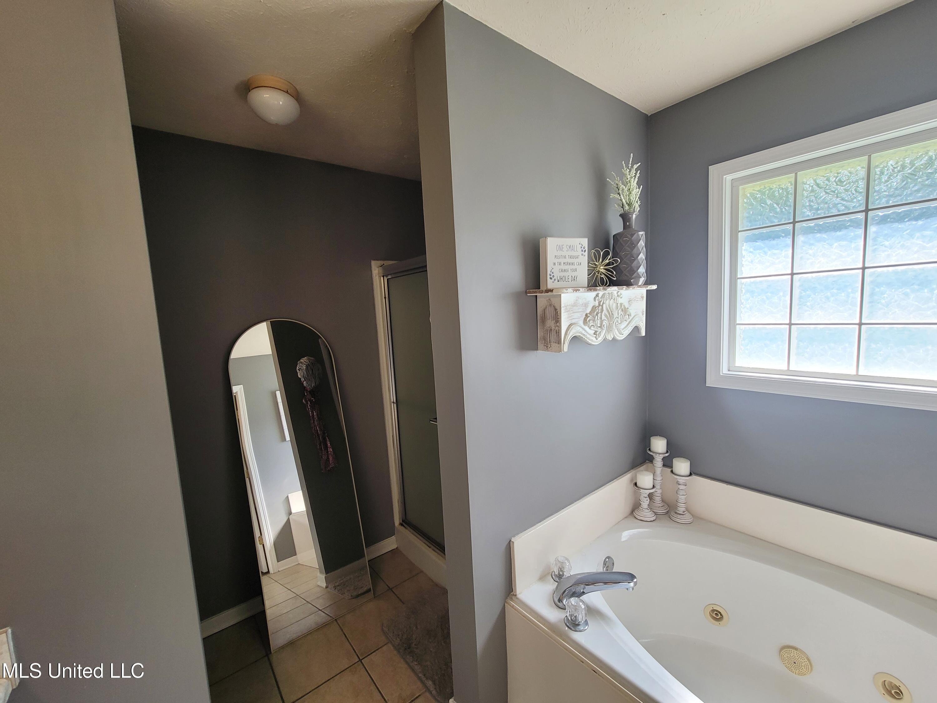 317 Willow Run Pearl, MS 39208 - Photo 18 of 49 Bathroom