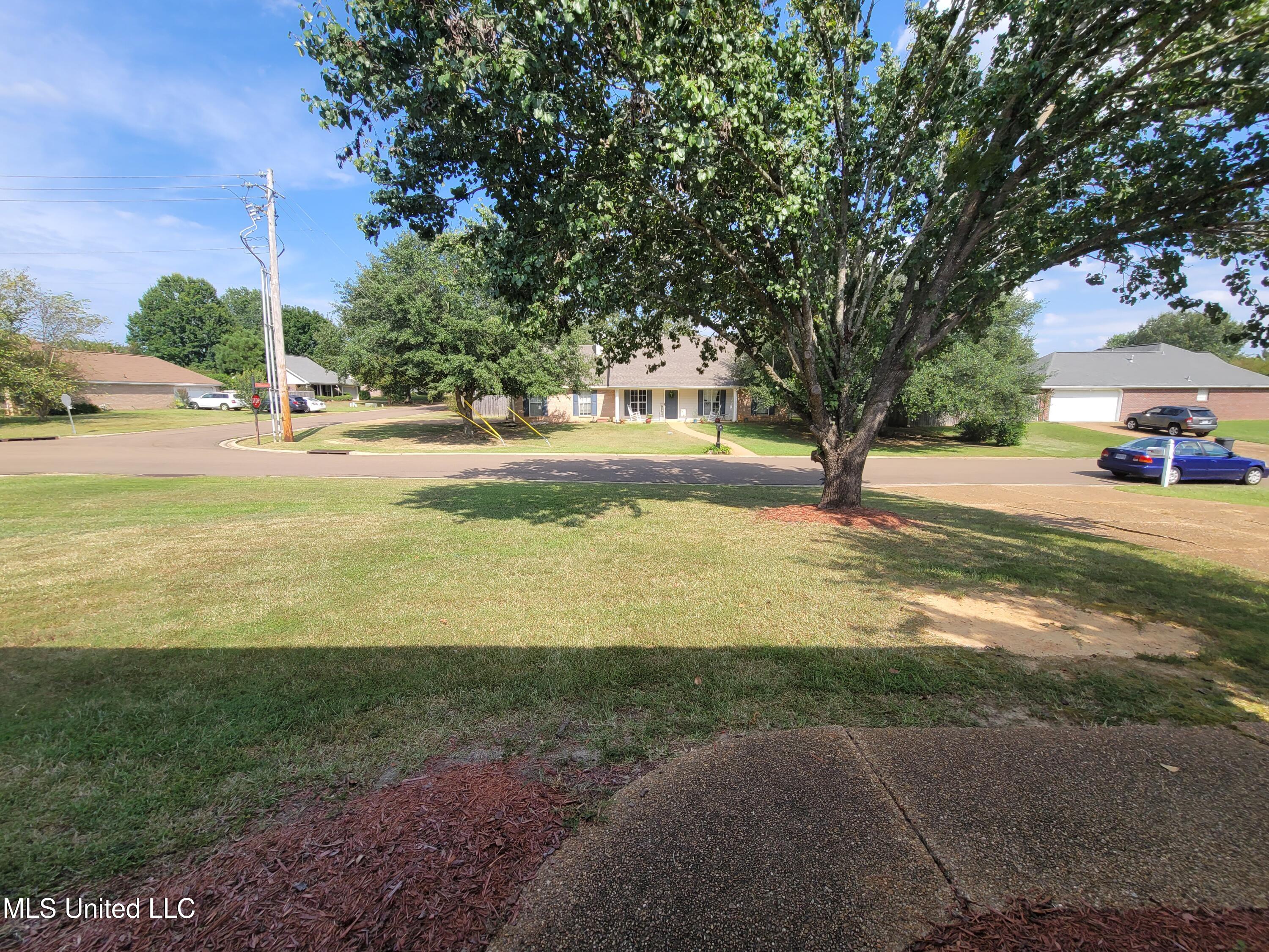317 Willow Run Pearl, MS 39208 - Photo 2 of 49 Yard