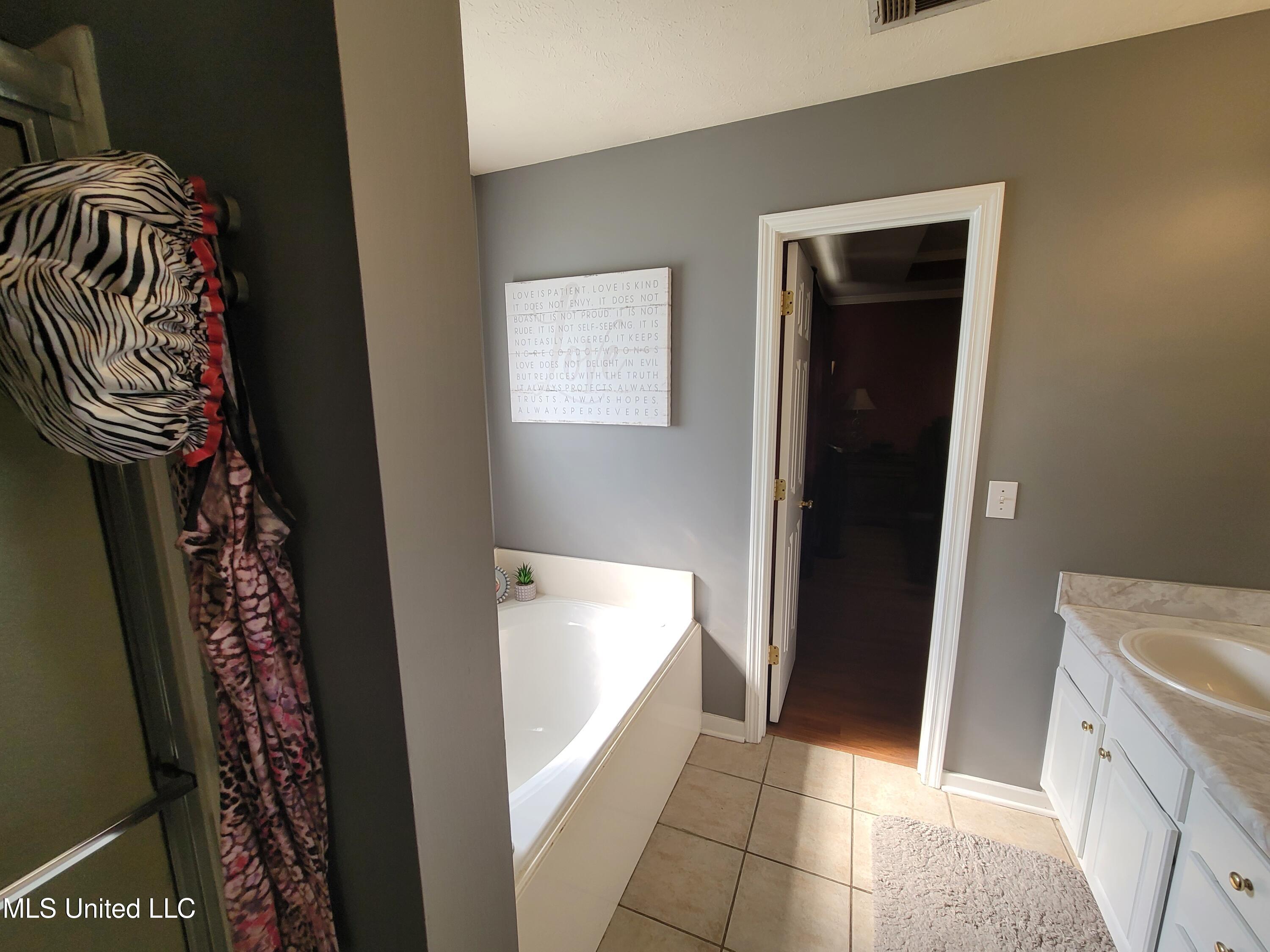 317 Willow Run Pearl, MS 39208 - Photo 21 of 49 Bathroom