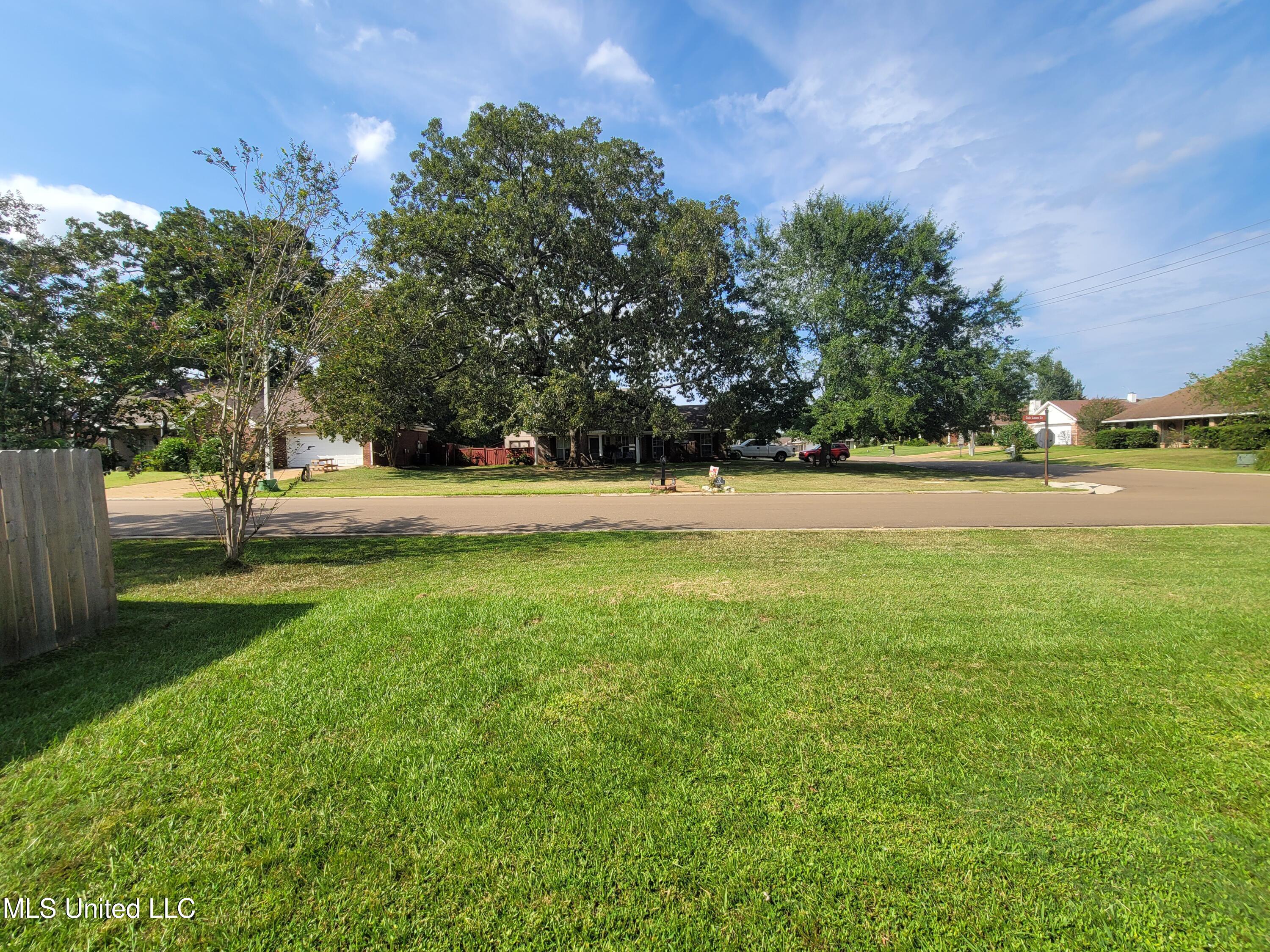 317 Willow Run Pearl, MS 39208 - Photo 49 of 49 Yard