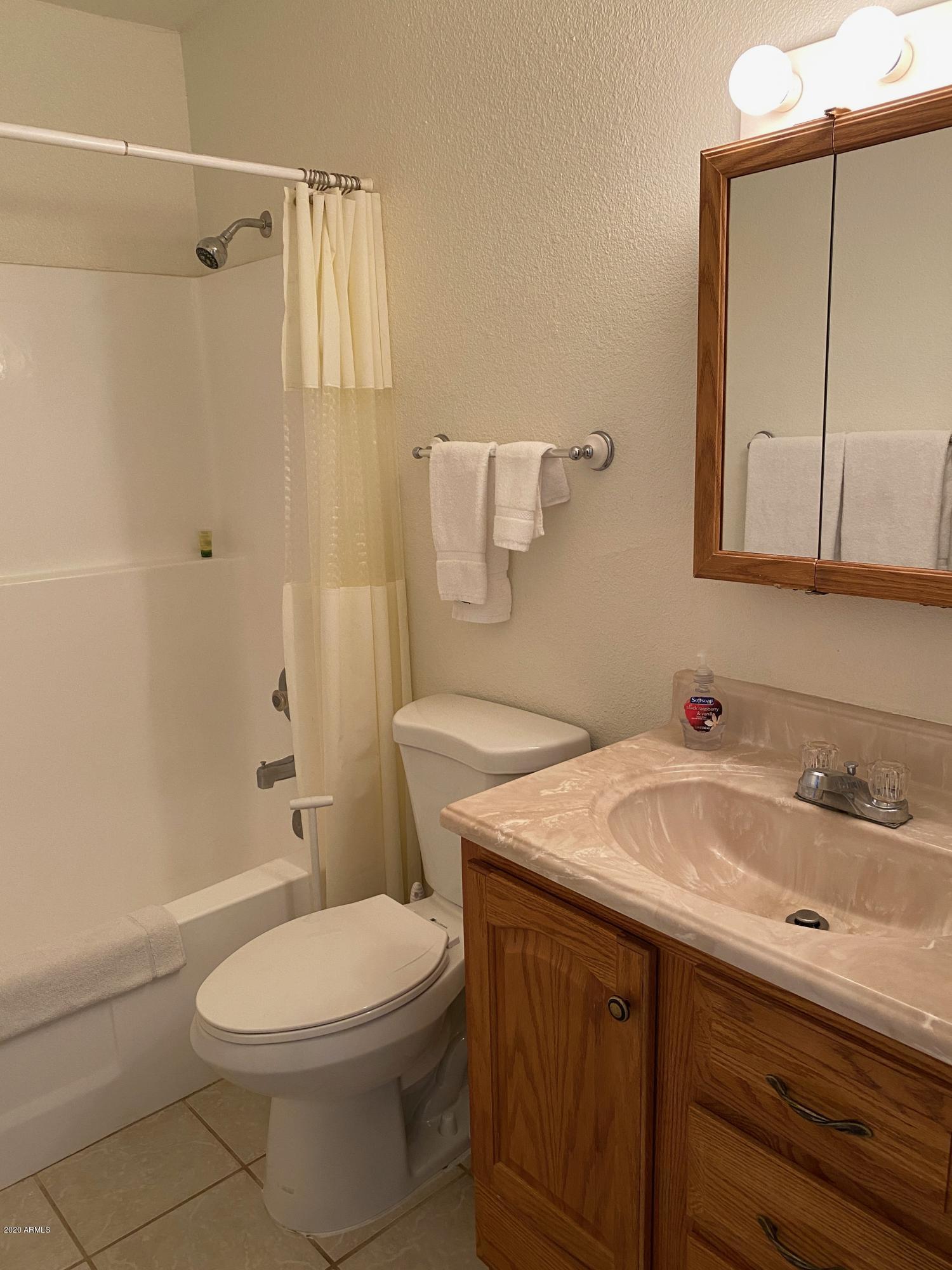 540 South West Road, Unit 7 Wickenburg, AZ 85390 - Photo 9 of 27 a bathroom with a sink a toilet and shower