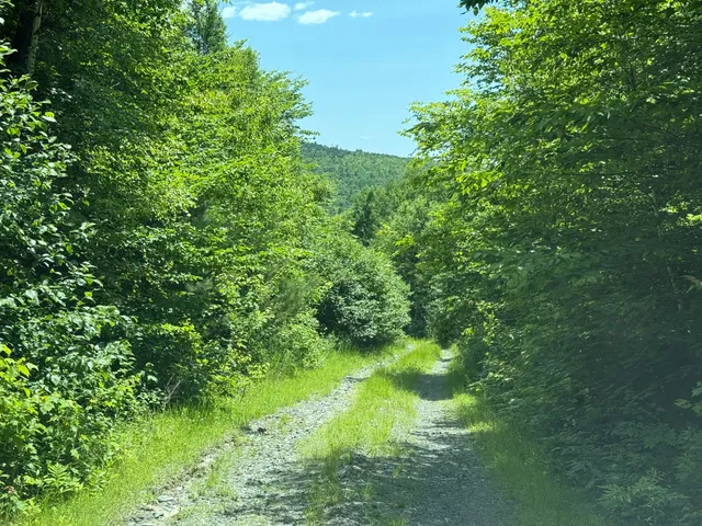 $35,000 | 119 Campground Road, Guilford, ME 04443