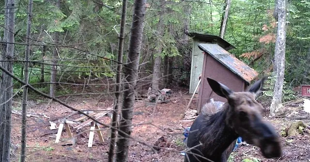 $35,000 | 119 Campground Road, Guilford, ME 04443