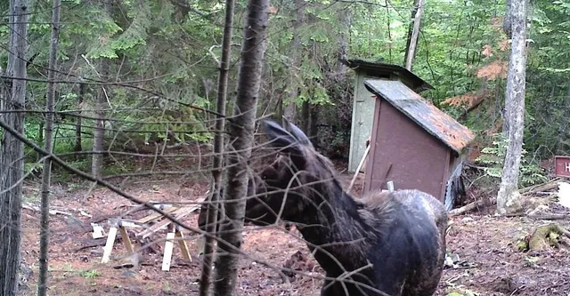 $35,000 | 119 Campground Road, Guilford, ME 04443