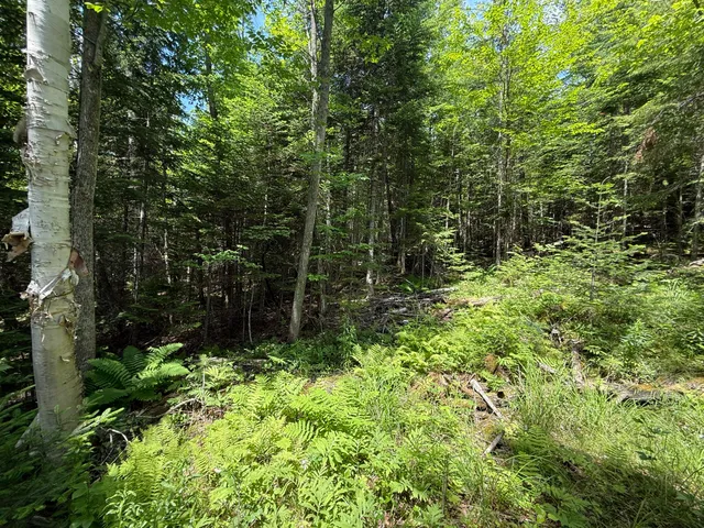 $35,000 | 119 Campground Road, Guilford, ME 04443