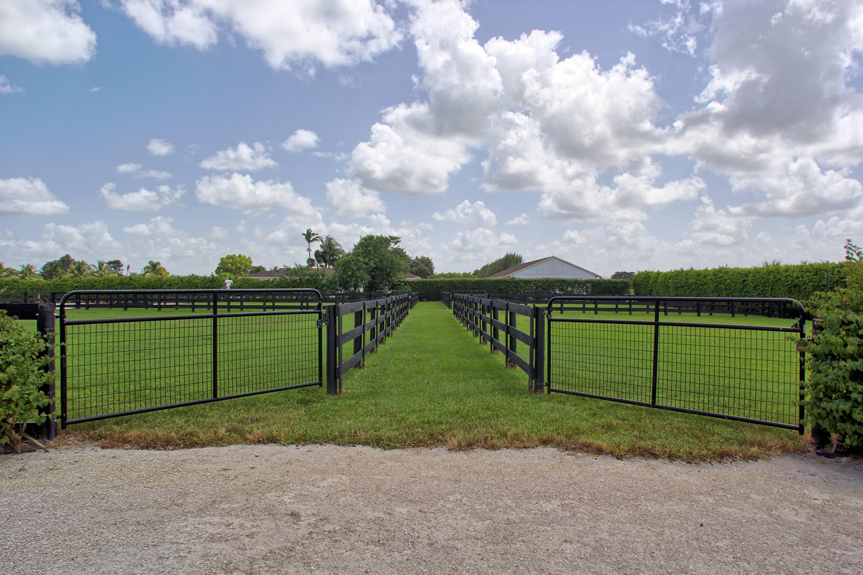 13135 Southfields Road Wellington, FL 33414 - Photo 11 of 16 Paddocks