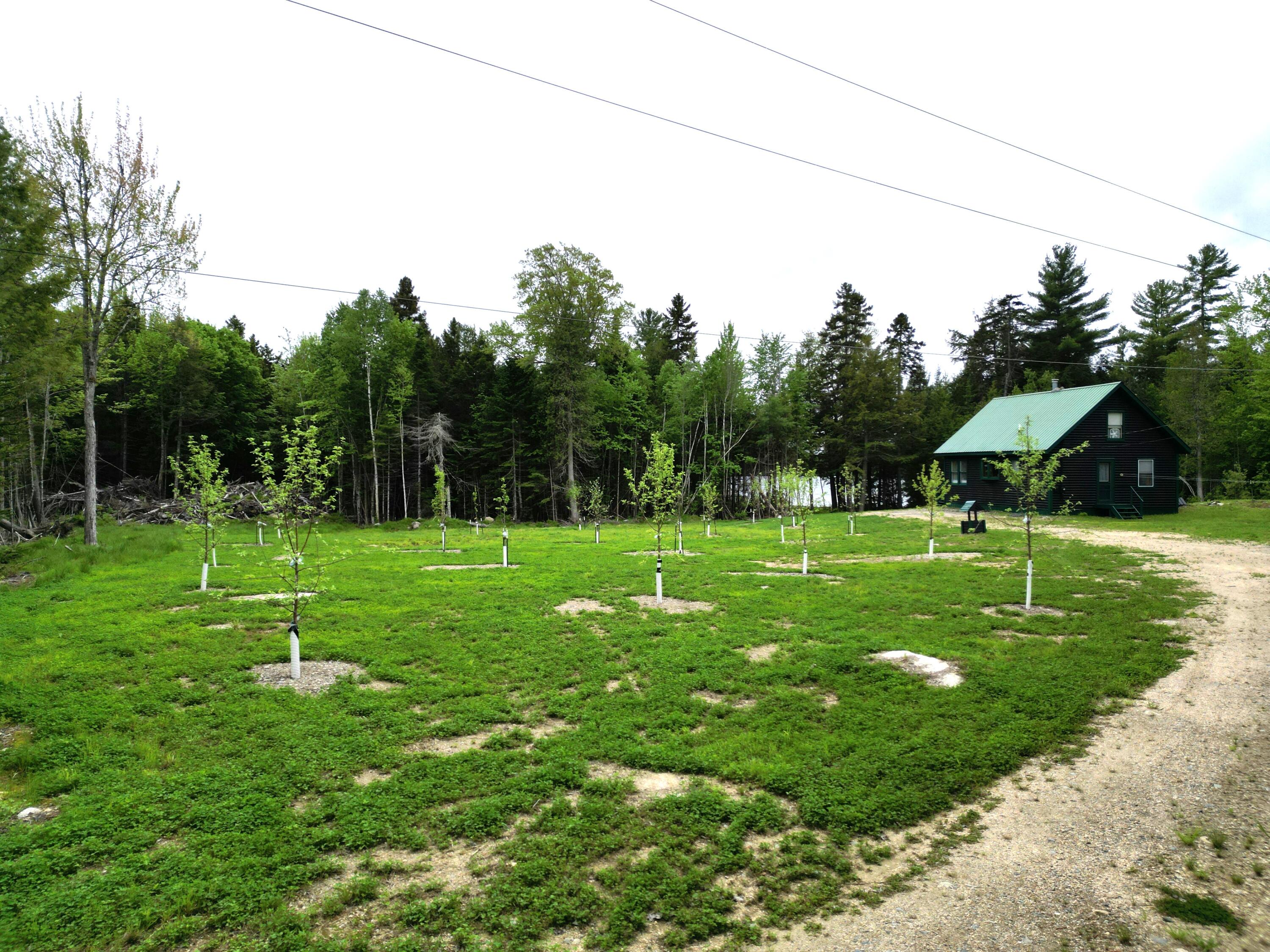 595 Long Point Road Lakeville, ME 04487 - Photo 33 of 47 DJI_0213