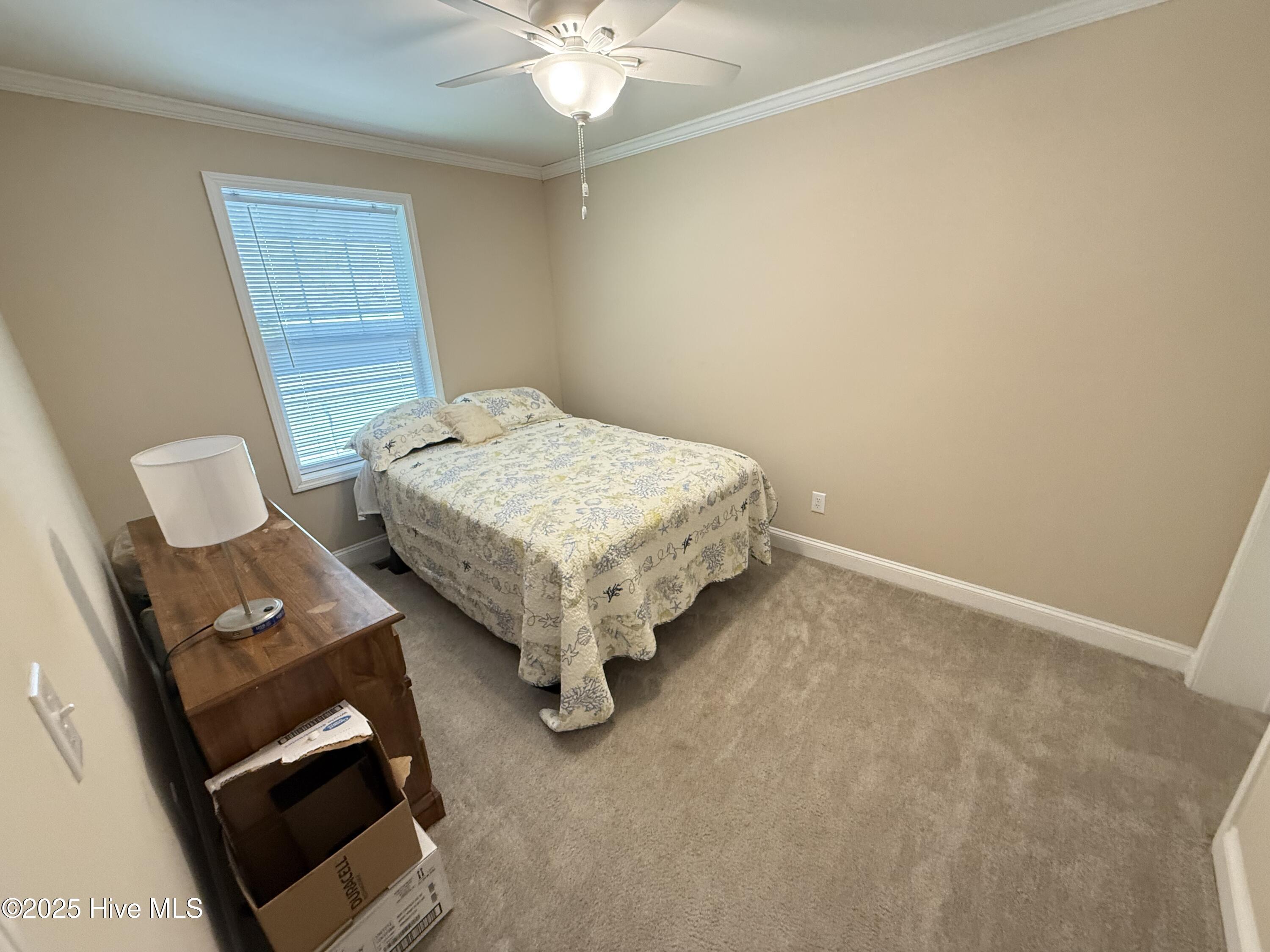 310 West Goshen Street Faison, NC 28341 - Photo 13 of 27 IMG_3729