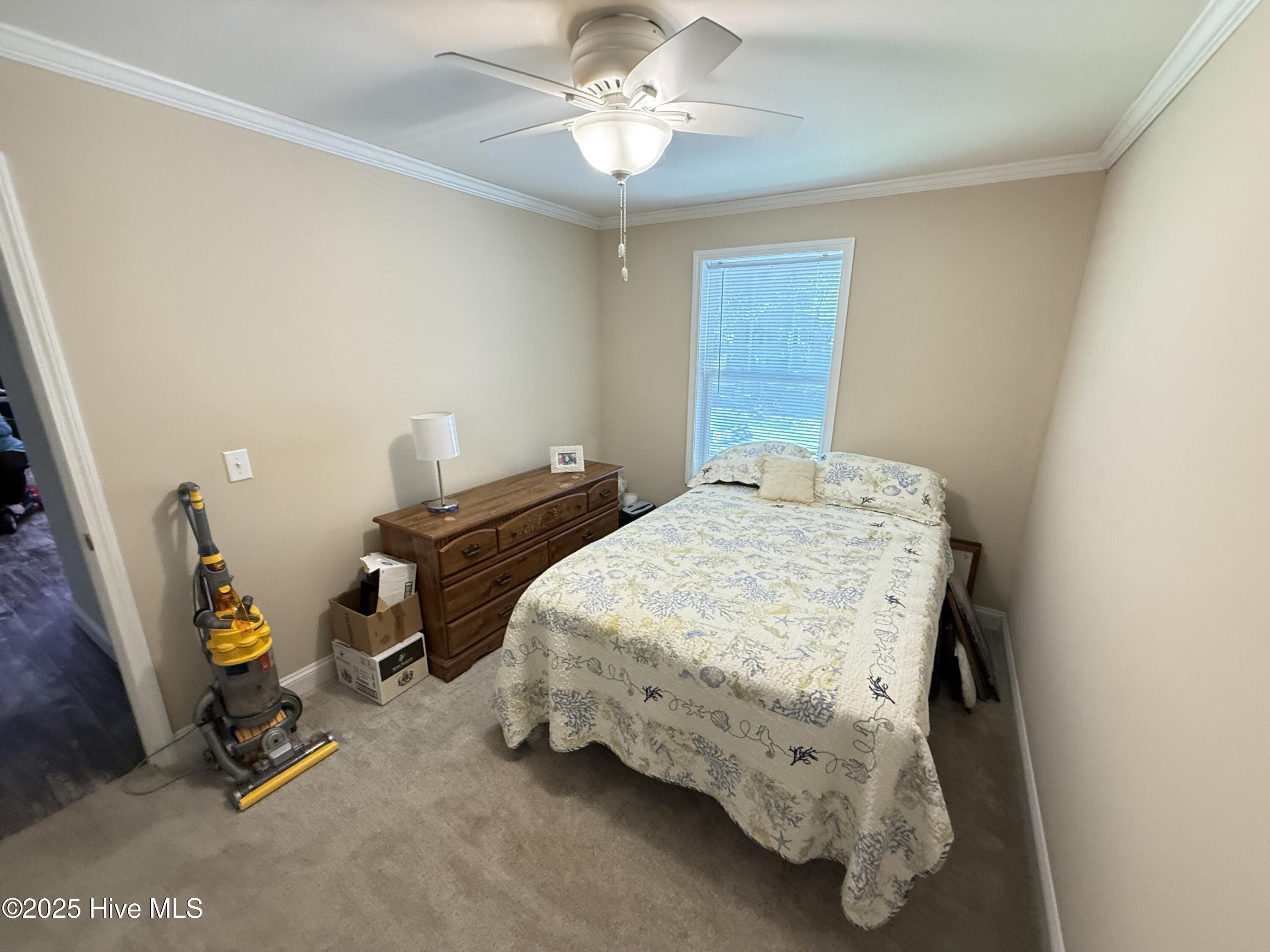 310 West Goshen Street Faison, NC 28341 - Photo 15 of 27 IMG_3731